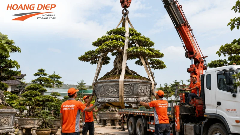 Hoàng Diệp thi công cẩu cây cảnh trong không gian hạn chế tại TP.HCM